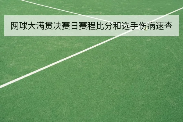 网球大满贯决赛日赛程比分和选手伤病速查